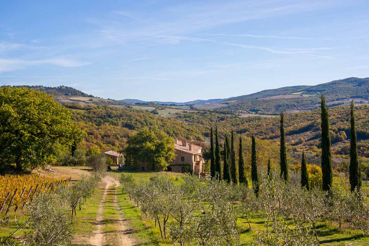 Authentically restored semi-detached Tuscan farmhouse with vineyard, Siena, Tuscany